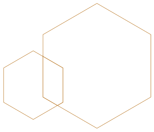 hexagon back 01