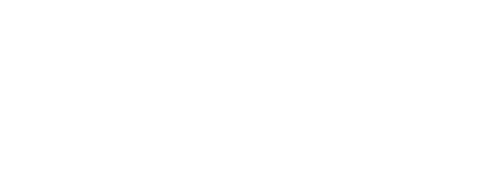 logo white none